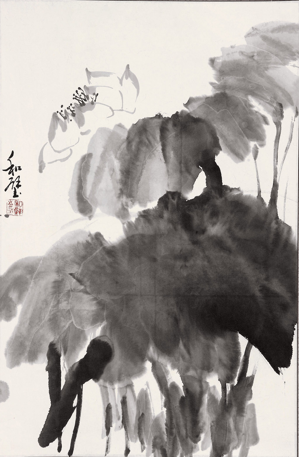 59号 不染图44cm×67cm.jpg